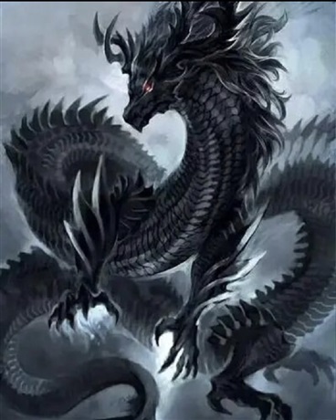 重生之龙的旅途