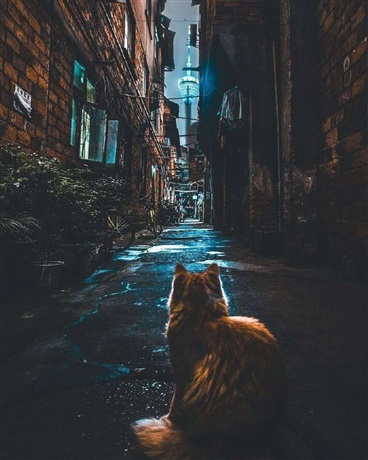 异世界鉴定手册