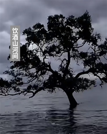 饮酒山河间