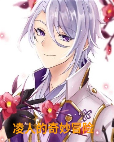 凌人的奇妙冒险