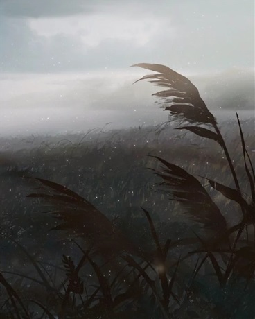 琪亚娜一起去旅行吧