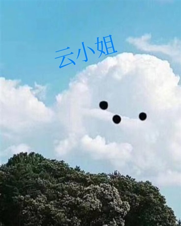 云小姐