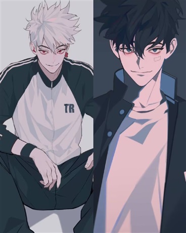 从零开始走向现境第一的双子星