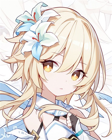 整合运动的冒险