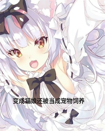 为什么妹妹想要一个猫娘妹妹啊！