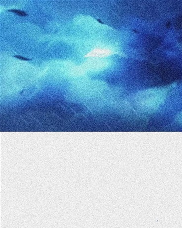 纯白法典