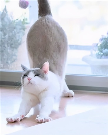 后来我们不哭了