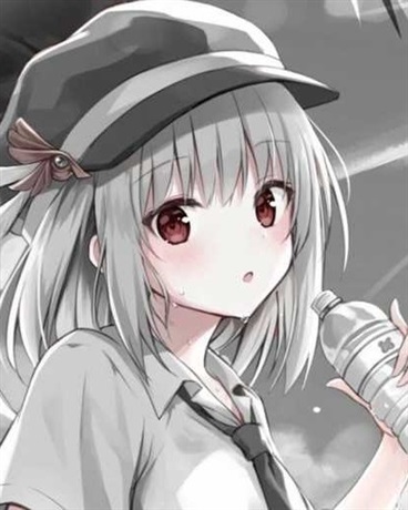 少爷们的追妻记