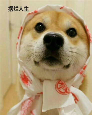 摆烂，躺赢人生