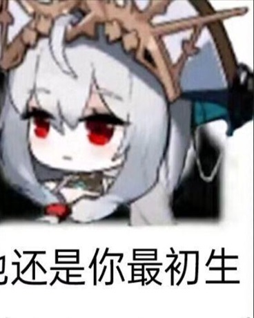 泰拉，从签到开始