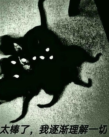 人在崩坏，开局被杀Mc系统