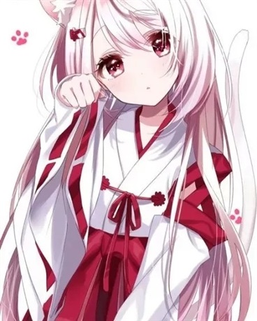 关于我成为魔法少女