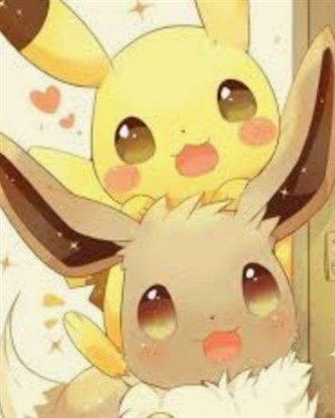 皮卡丘之最強之路