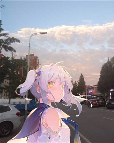 命鸽为什么是神