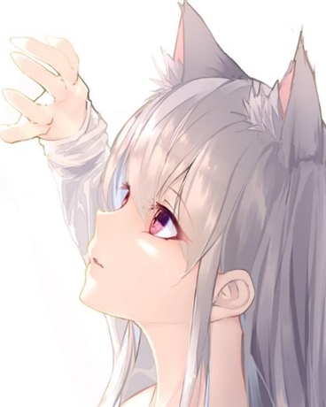 我不是你一个人的猫