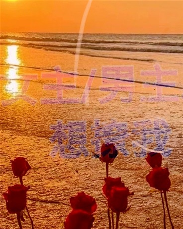 女主男主想撩我