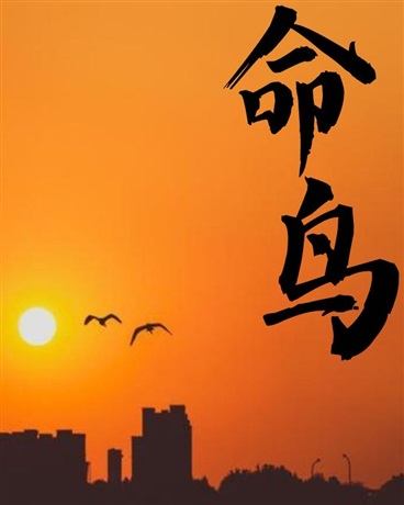 命鸟