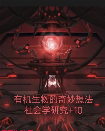 肃正协议子个体观察记录