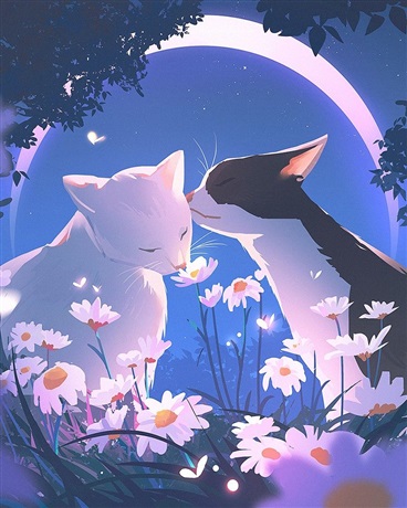 牛奶与巧克力的大纲