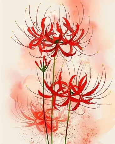 君洛兮之寐之语