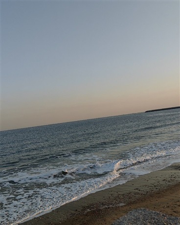 穿越到自己的书中当花瓶