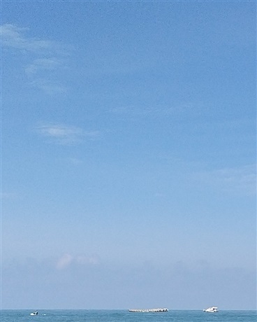 斗罗之创世蓝银