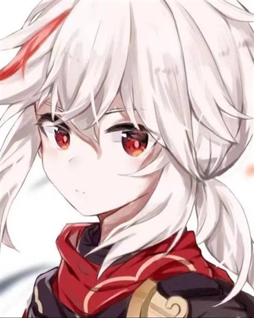 马哥的奇妙冒险