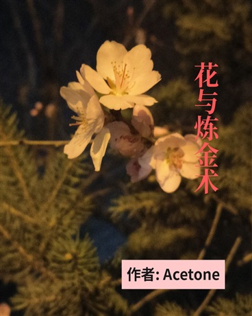 花与炼金术