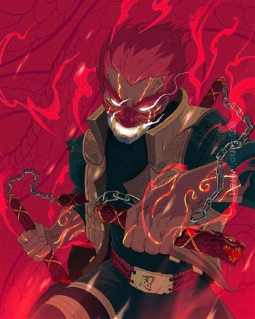 海贼王里的忍者