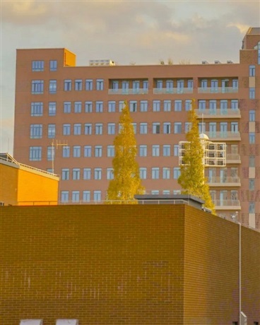 菠萝包校园日常生活