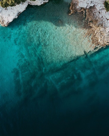 未见花名，茉莉花开