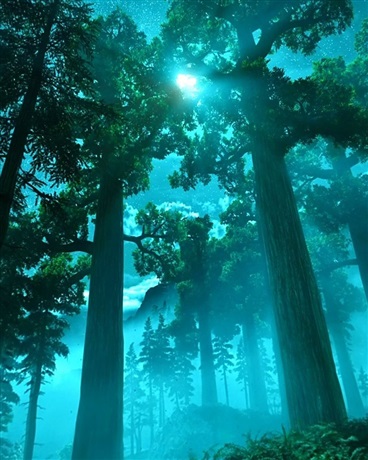 这并不是什么好故事