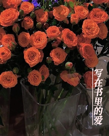 写在书里的爱