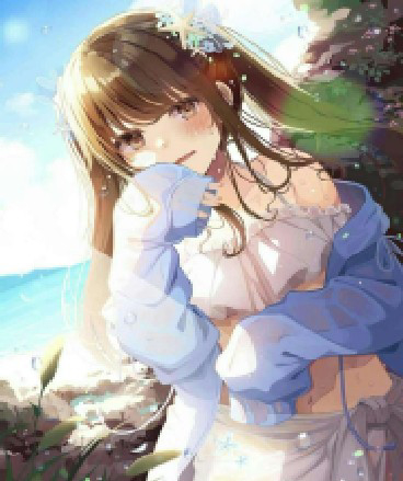 鸢尾，于炽热中凋谢