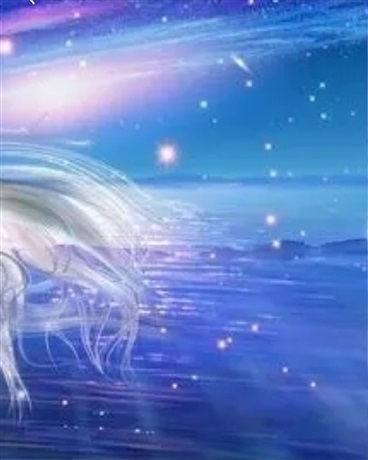 十二星座之星幻