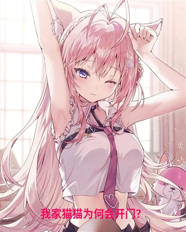 我家猫猫为何会开门？