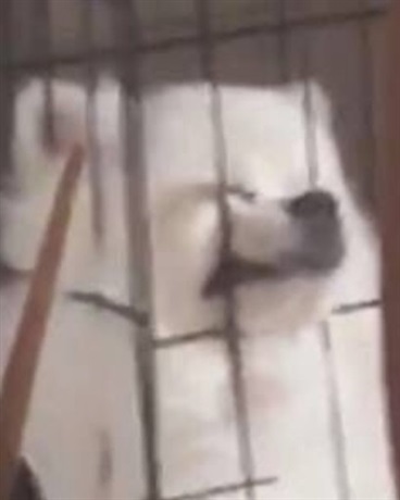 所以，我能相信你吗？