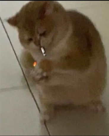 静谧时代