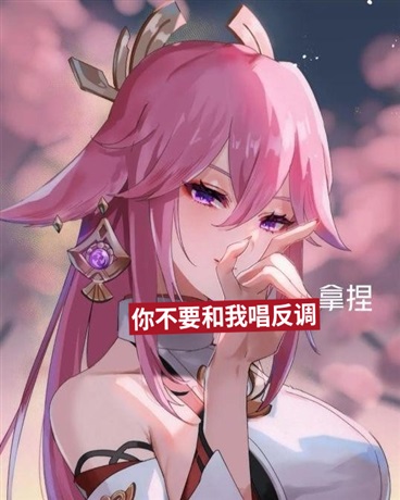 你不要和我唱反调