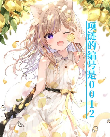 项链的编号是0012