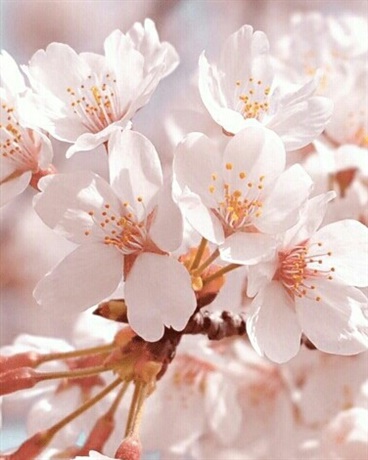 当代网友的绝美文采