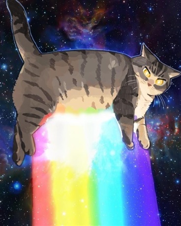 超级可爱的数学酱之旅