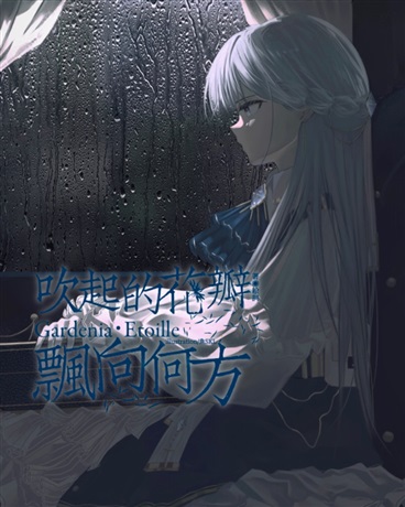 吹起的花瓣，飘向何方