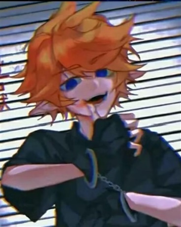 恢复记忆的金爷超帅