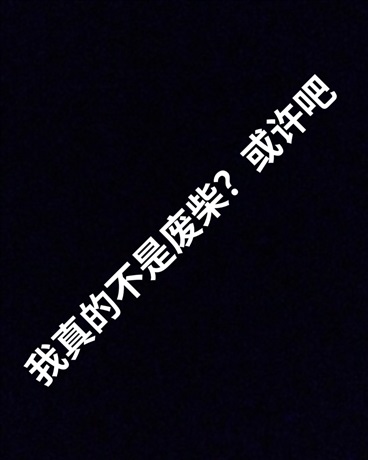 我真的不是废柴？或许吧