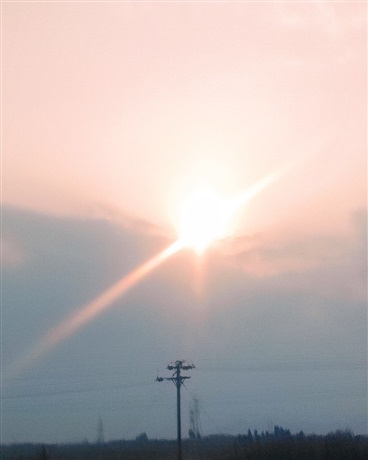 输入法的胡乱消失