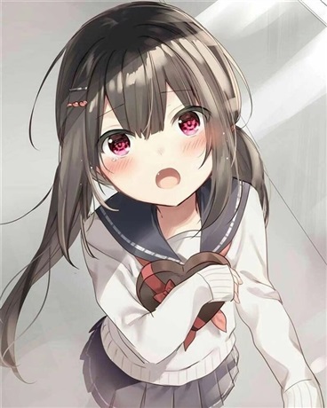 看见那只猫了吗