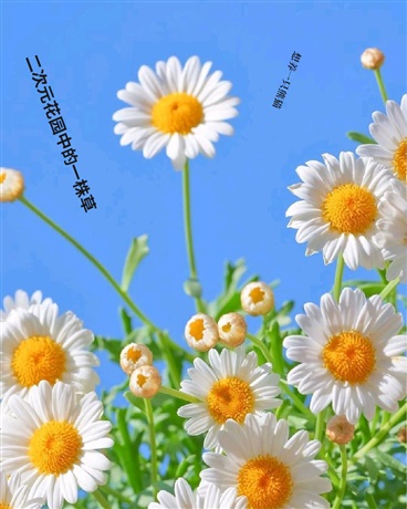 我的老婆都是我的邪欲？！