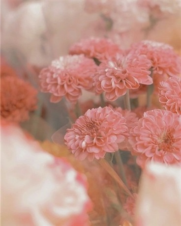 跟着摆烂系统穿越绿茶世界