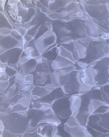 穿越斗罗大陆当魂兽